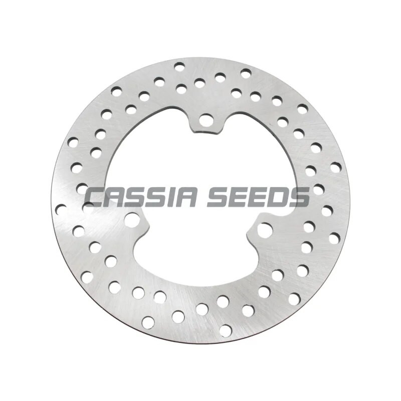 Motocikla priekšējie un aizmugurējie bremžu diski priekš Yamaha XT 225 WE XT225 (4JG5/6) Serrow 1997-1998 XG 250 Tricker (5XT1) 2004-2006