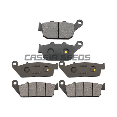 Motocikla priekšējie un aizmugurējie bremžu kluči priekš Triumph motocikla TRIUMPH TRIDENT 660 bremžu kluči