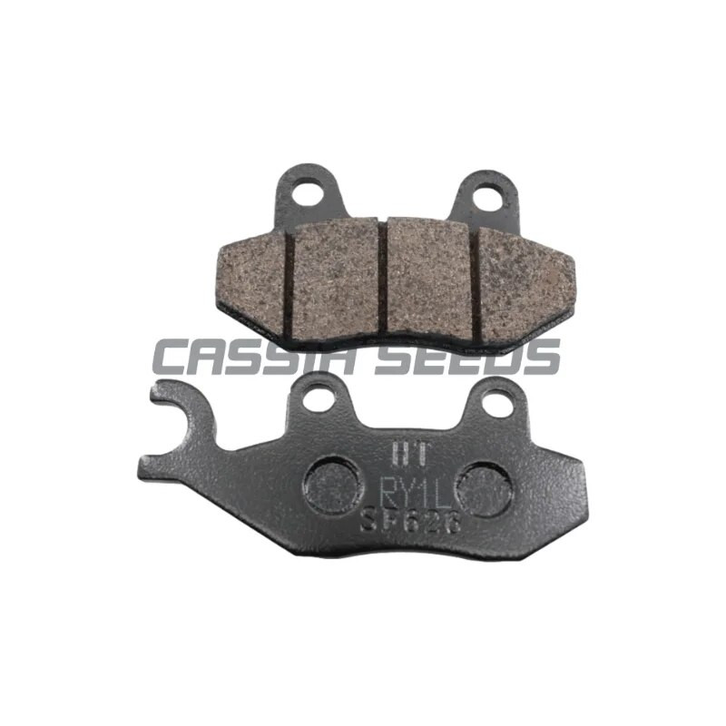 Τακάκια μπροστινών και πίσω φρένων μοτοσικλέτας για τακάκια φρένων Loncin Wuji 300R/RR/AC LX300GS-BD