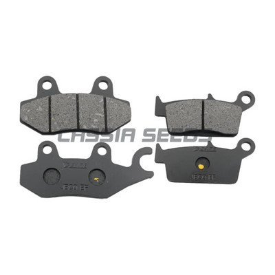 Piemērots Loncin Wuji 300GY LX300GY-AD bezceļa motocikla priekšējiem un aizmugurējiem bremžu klučiem bremžu klučiem