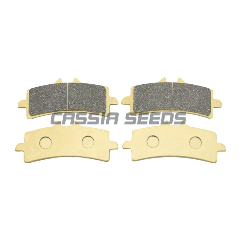 Motocikla priekšējie un aizmugurējie bremžu kluči Disku bremžu kluči priekš Kawasaki Z1000R 2017 2018 2019 2020