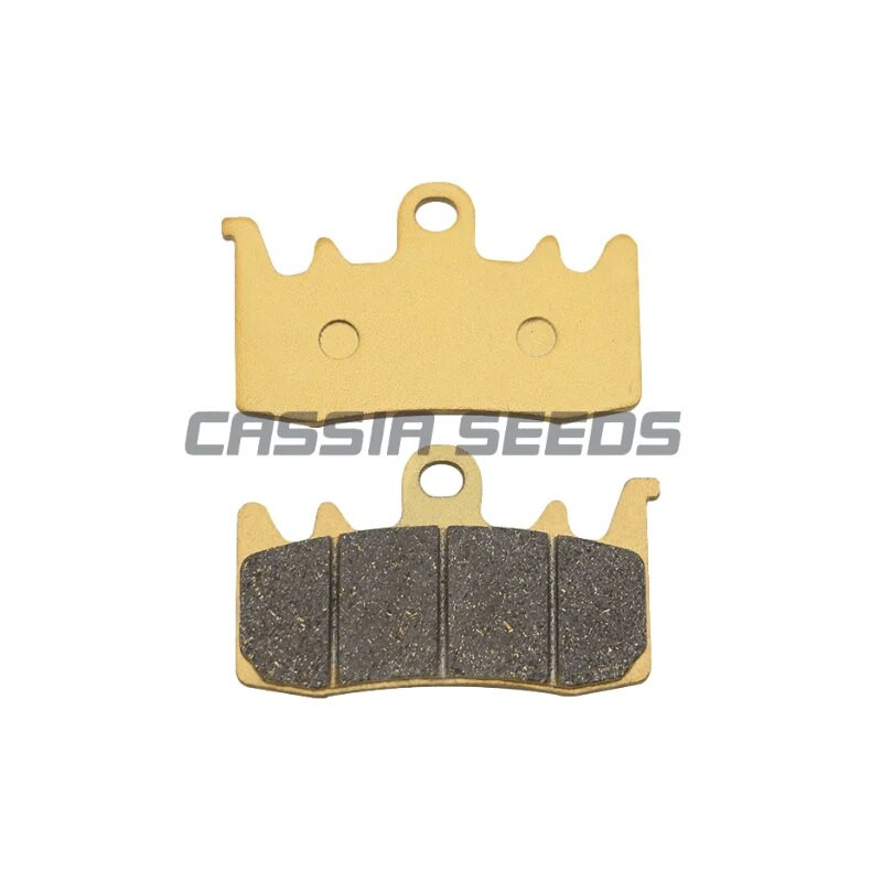 Μοτοσικλέτα εμπρός και πίσω τακάκια φρένων Τακάκια δισκόφρενου για Kawasaki Z H2 SE Performance 2020 2021