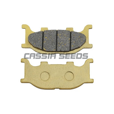 Motocikla priekšējie un aizmugurējie bremžu kluči disku bremžu kluči priekš Yamaha TZR 150 R (4AP2) 2000