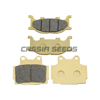 Motocikla priekšējie un aizmugurējie bremžu kluči disku bremžu kluči priekš Yamaha TZR 150 R (4AP2) 2000