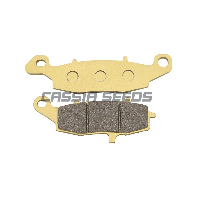 Motocikla priekšējie un aizmugurējie bremžu kluči priekš CFMOTO Chunfeng CF650NK CF650TR 2010-2011-2012-2013 Bez ABS