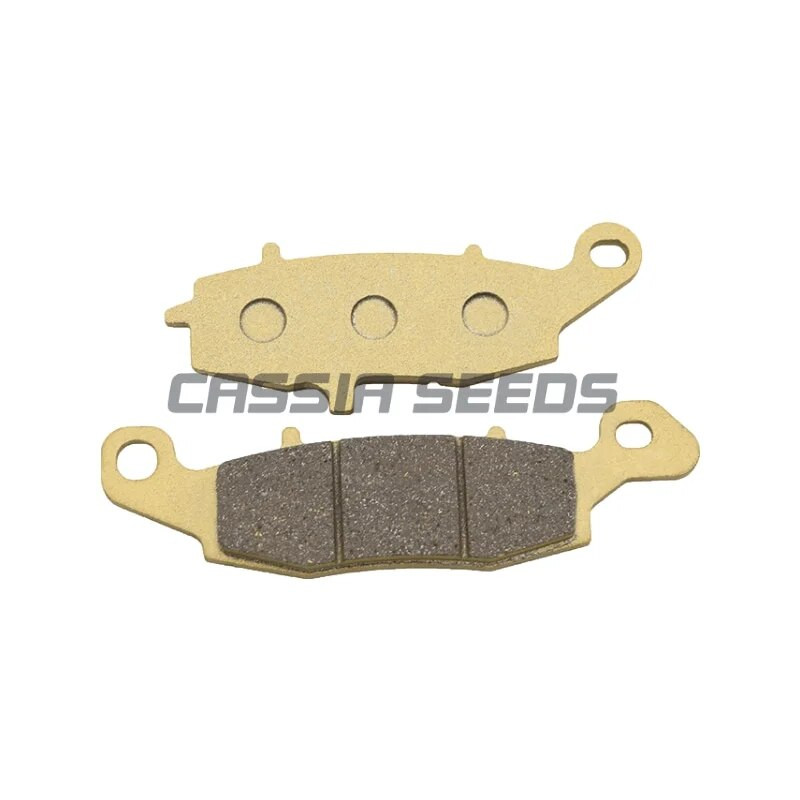 Motocikla priekšējie un aizmugurējie bremžu kluči priekš CFMOTO Chunfeng CF650NK CF650TR 2010-2011-2012-2013 Bez ABS