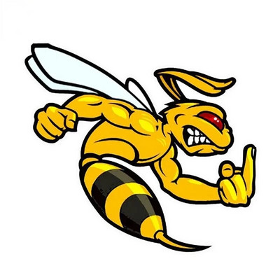 Autokleebised Angry Bee Vinüülkleebised Mootorratta kleebised Dekoratsioonitarvikud Veekindel päikesekaitsekate Kriimustused, Mitu suurust