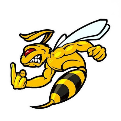 Autokleebised Angry Bee Vinüülkleebised Mootorratta kleebised Dekoratsioonitarvikud Veekindel päikesekaitsekate Kriimustused, Mitu suurust