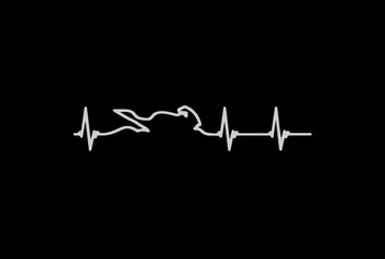 Стикер за кола Сърце Електрокардиограма на състезателни играчи Аксесоари Винилово покритие за стил на кола Драскотини Мотоциклет PVC, 15 см