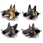 Autokleebis Belgia lambakoer Lemmikkoer Loom Veekindel vinüülkleebis Autotarvikud Dekoratsioon