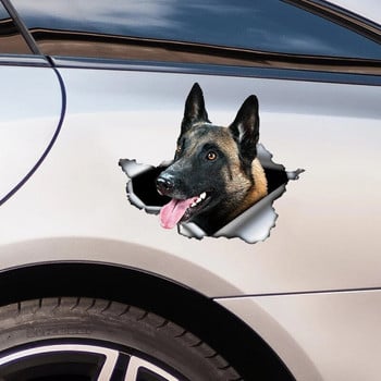 Αυτοκόλλητο αυτοκινήτου Belgian Shepherd Pet Dog Ζώο αδιάβροχο βινύλιο Decal Αξεσουάρ αυτοκινήτου Διακόσμηση