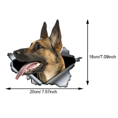 Autokleebis Belgia lambakoer Lemmikkoer Loom Veekindel vinüülkleebis Autotarvikud Dekoratsioon