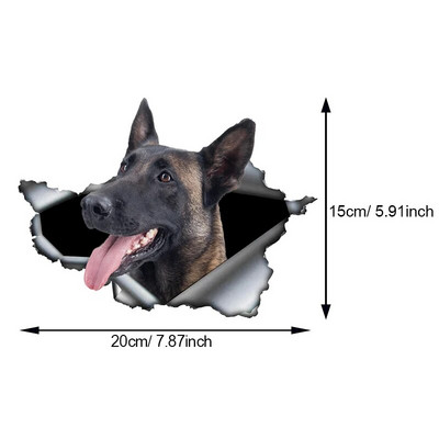 Autokleebis Belgia lambakoer Lemmikkoer Loom Veekindel vinüülkleebis Autotarvikud Dekoratsioon