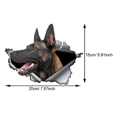Autokleebis Belgia lambakoer Lemmikkoer Loom Veekindel vinüülkleebis Autotarvikud Dekoratsioon