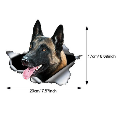 Autokleebis Belgia lambakoer Lemmikkoer Loom Veekindel vinüülkleebis Autotarvikud Dekoratsioon