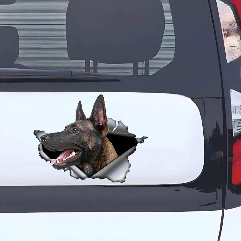 Autokleebis Belgia lambakoer Lemmikkoer Loom Veekindel vinüülkleebis Autotarvikud Dekoratsioon