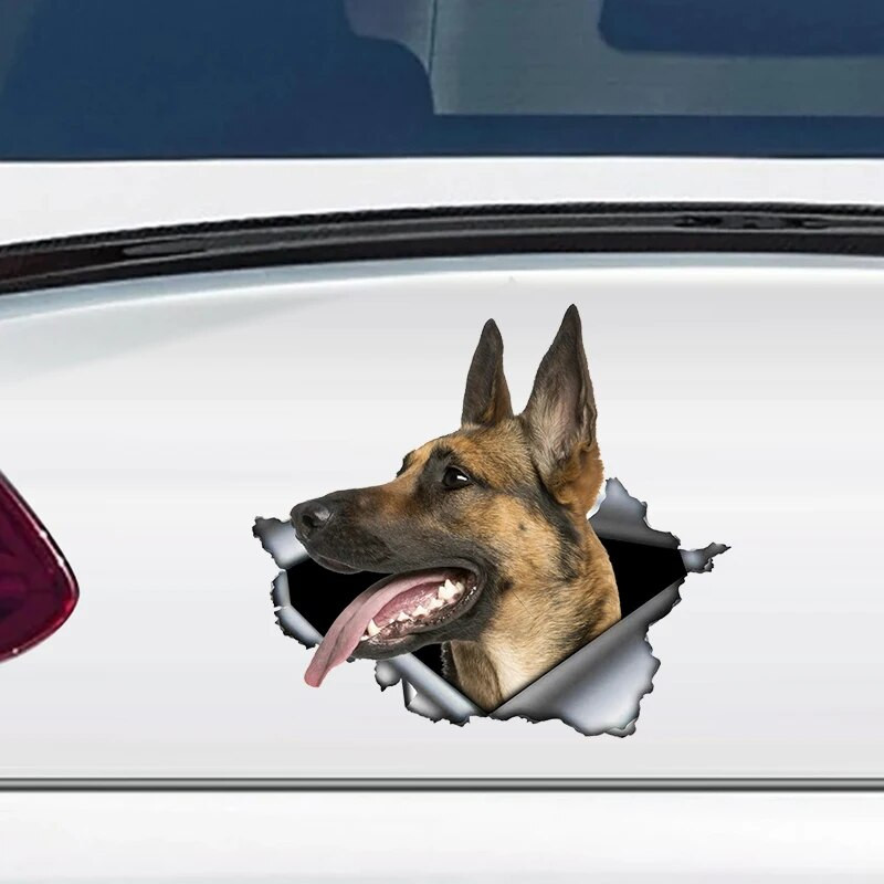 Autokleebis Belgia lambakoer Lemmikkoer Loom Veekindel vinüülkleebis Autotarvikud Dekoratsioon