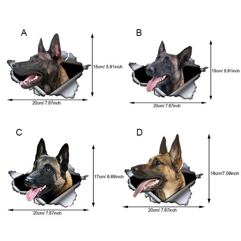 Autokleebis Belgia lambakoer Lemmikkoer Loom Veekindel vinüülkleebis Autotarvikud Dekoratsioon