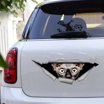 70041# Αστεία αυτοκόλλητα αυτοκινήτου Sphynx Αυτοκόλλητο Cat Styling Αδιάβροχο αντηλιακό αυτοκόλλητο βινυλίου Decal