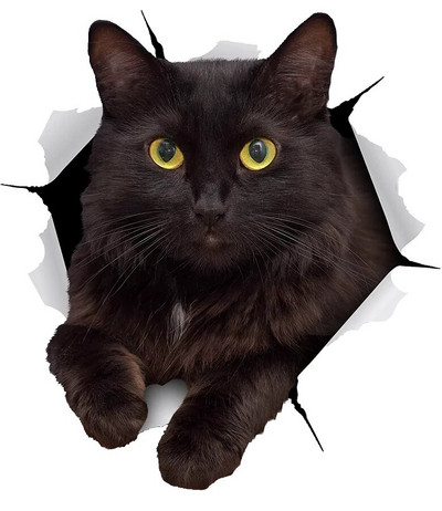 Kolm Ratels 3D 1094 Musta kassi kassipoja kleebised seinakülmiku tualettruumi kodukaunistamiseks