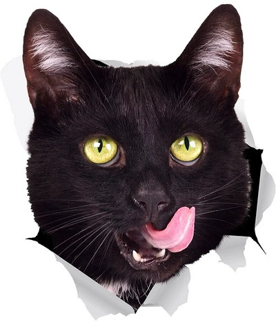 Kolm Ratels 3D 1094 Musta kassi kassipoja kleebised seinakülmiku tualettruumi kodukaunistamiseks