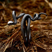 Vintage gooti stiilis ussisõrmused meestele naistele roostevabast terasest hõbedase/kuldse värviga avatud reguleeritav sõrmus Moeehted kingitused hulgimüügiga