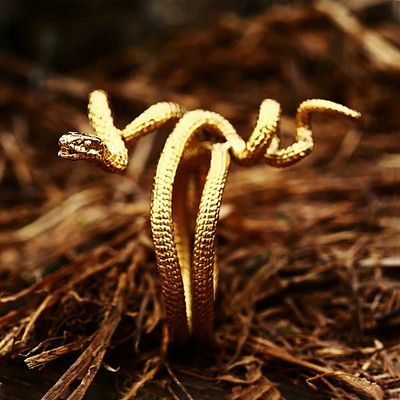 Vintage gooti stiilis ussisõrmused meestele naistele roostevabast terasest hõbedase/kuldse värviga avatud reguleeritav sõrmus Moeehted kingitused hulgimüügiga