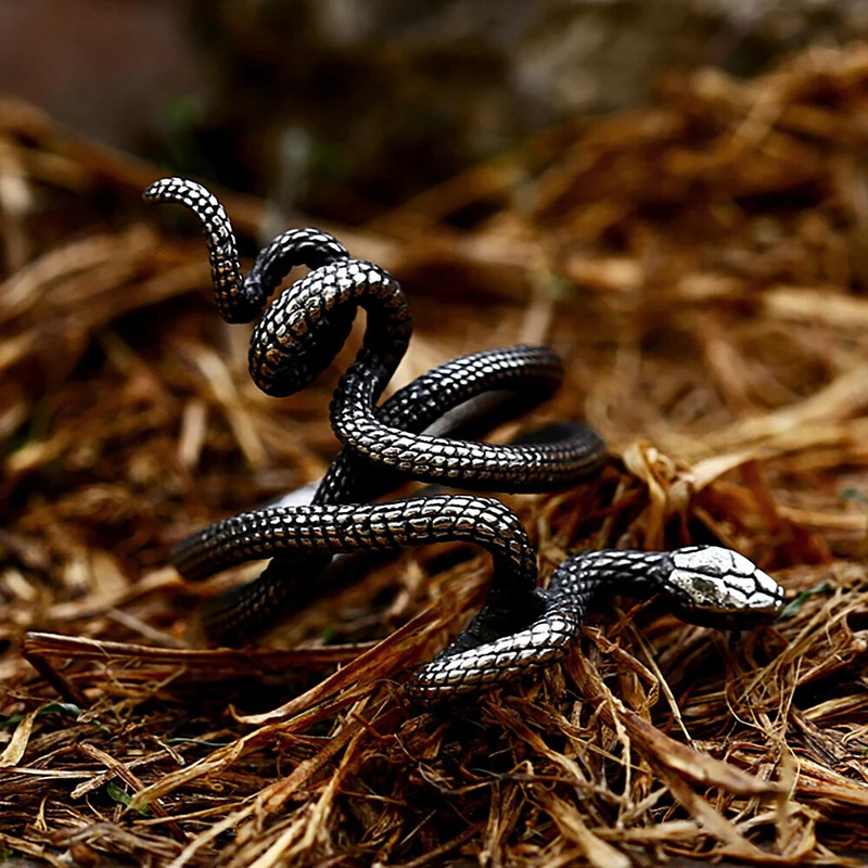 Vintage gooti stiilis ussisõrmused meestele naistele roostevabast terasest hõbedase/kuldse värviga avatud reguleeritav sõrmus Moeehted kingitused hulgimüügiga