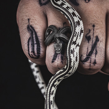 QN Domineering Retro Snake Ring Zodiac Snake Χειροποίητο ανδρικό δαχτυλίδι National Tide Κολιέ κοσμήματα αξεσουάρ
