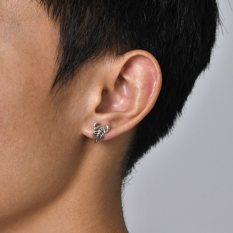 Vnox Cool Scorpion σκουλαρίκια για άνδρες Γυναικεία, Gothic Animal Stud σκουλαρίκια, Unisex Punk Rock Ear Jewelry