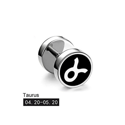 Trend 12 Constellation Barbell Stud Kõrvarõngas Meeste Naiste Mood Hantlitega Kõrvarõngad Tänavamood Korea väljaanne Kõrvaehted Kingitus