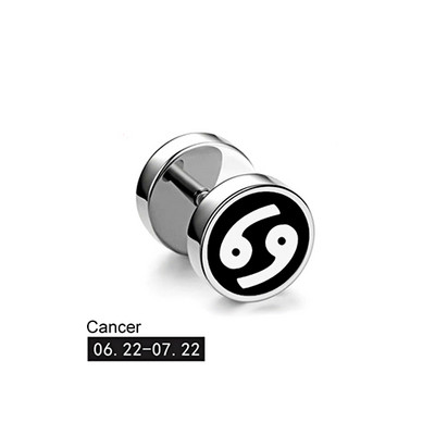 Trend 12 Constellation Barbell Stud Kõrvarõngas Meeste Naiste Mood Hantlitega Kõrvarõngad Tänavamood Korea väljaanne Kõrvaehted Kingitus