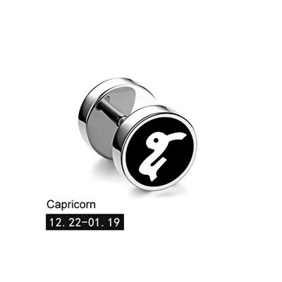 Trend 12 Constellation Barbell Stud Kõrvarõngas Meeste Naiste Mood Hantlitega Kõrvarõngad Tänavamood Korea väljaanne Kõrvaehted Kingitus