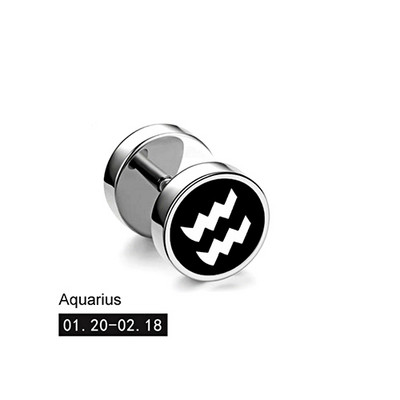 Trend 12 Constellation Barbell Stud Kõrvarõngas Meeste Naiste Mood Hantlitega Kõrvarõngad Tänavamood Korea väljaanne Kõrvaehted Kingitus