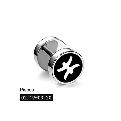 Trend 12 Constellation Barbell Stud Kõrvarõngas Meeste Naiste Mood Hantlitega Kõrvarõngad Tänavamood Korea väljaanne Kõrvaehted Kingitus