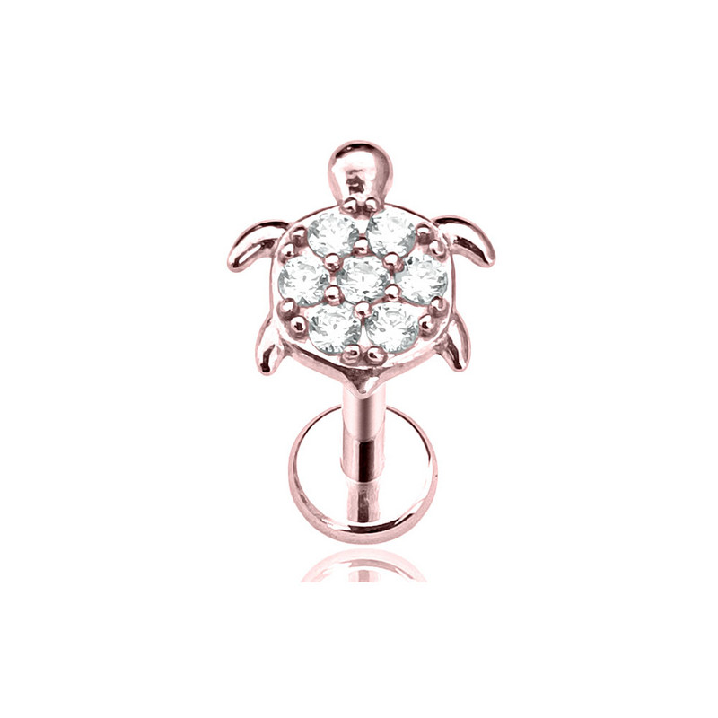 Vėžliai Labret Stud CZ cirkonio vidinis siūlas Auskaras Daith Conch Auskarai Gyvūnų lūpa Monroe Papuošalai 316L Chirurginis Plienas