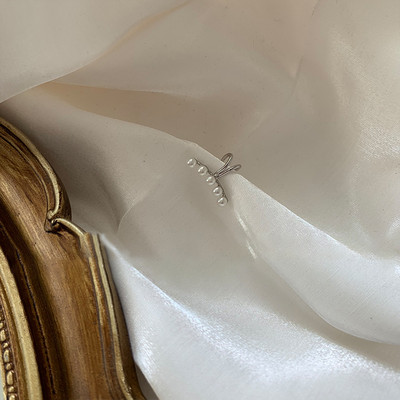 Moodne peen kividekooriga kõrvarõngas naiste kõrva jaoks 2022. aasta suve uus saabumine jõuluehteid kingitus