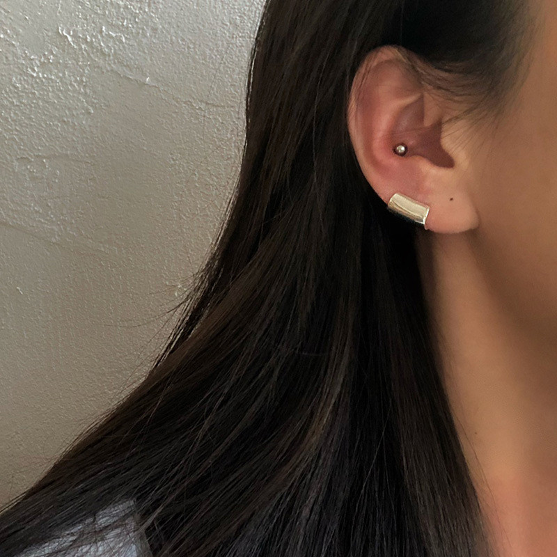 FOXANRY Prevent Allergy Sudraba krāsa, 1 gab