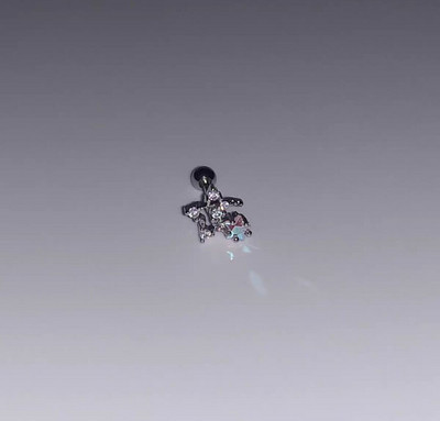 Sweet Cool Angel Heart Star Moon tsirkooniumkõrvarõngad naistele Tüdrukutele Punk Roostevabast Terasest Kõhre Helix Kõrva augustamine