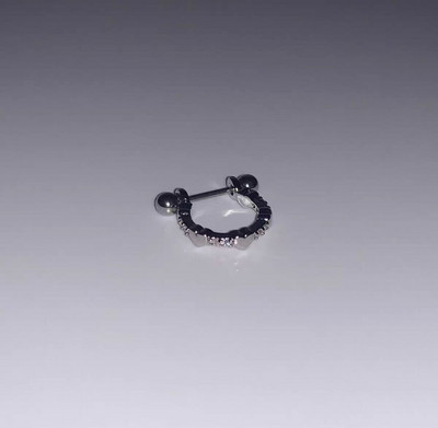 Sweet Cool Angel Heart Star Moon tsirkooniumkõrvarõngad naistele Tüdrukutele Punk Roostevabast Terasest Kõhre Helix Kõrva augustamine