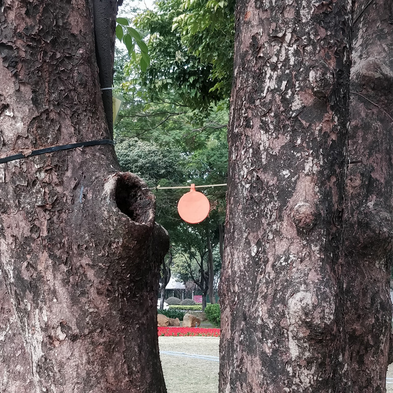 Dvoslojne silikonske mete 4 kom/set Promjer 3cm, 4cm, 5cm, 6cm ploče za gađanje mete debljine 10mm