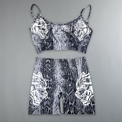 Darc Sport Suits Γυναικεία αθλητικά σορτς χωρίς ραφή Σουτιέν γυμναστικής Υψηλής ποιότητας Σετ για γυναίκες Νέο στυλ Wolf Head Tight Crossfit Sport Suits