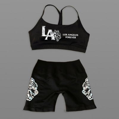 Darc Sport Suits Γυναικεία αθλητικά σορτς χωρίς ραφή Σουτιέν γυμναστικής Υψηλής ποιότητας Σετ για γυναίκες Νέο στυλ Wolf Head Tight Crossfit Sport Suits