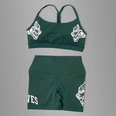 Darc Sport Suits Γυναικεία αθλητικά σορτς χωρίς ραφή Σουτιέν γυμναστικής Υψηλής ποιότητας Σετ για γυναίκες Νέο στυλ Wolf Head Tight Crossfit Sport Suits