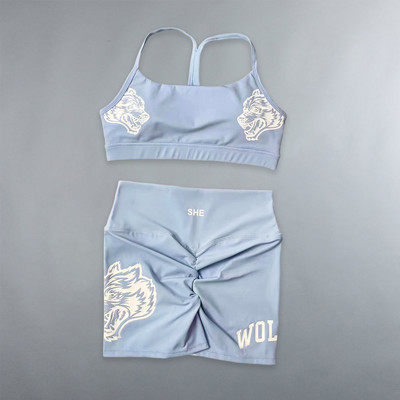 Darc Sport Suits Γυναικεία αθλητικά σορτς χωρίς ραφή Σουτιέν γυμναστικής Υψηλής ποιότητας Σετ για γυναίκες Νέο στυλ Wolf Head Tight Crossfit Sport Suits