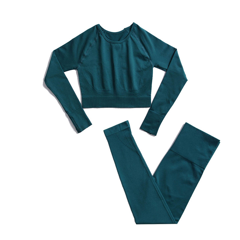 Naiste spordirõivaste komplekt, pikkade varrukatega kärbitud ülaosa, elutähtsad õmblusteta retuusid, kõrge vööga kaheosalised joogariided treeningsaaliriietus