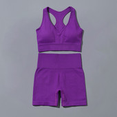 Bešavni set za fitness jogu Kratki sportski grudnjak Crop Top Rebrasta sportska odjeća Ženska trenerka Dvodijelno odijelo Odjeća za vježbanje Odjeća za teretanu