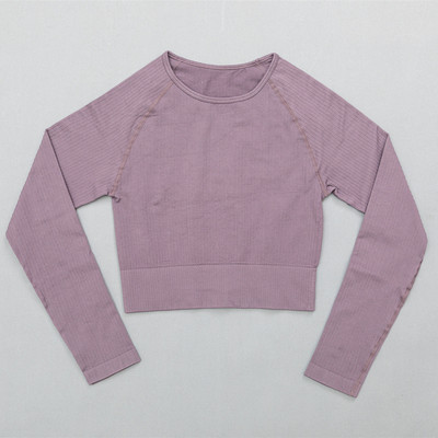 Naiste soonikuga õmblusteta joogakomplektid treeningkostüümid Crop rinnahoidja topid pikkade varrukatega särk Õmblusteta säärised spordikomplekt