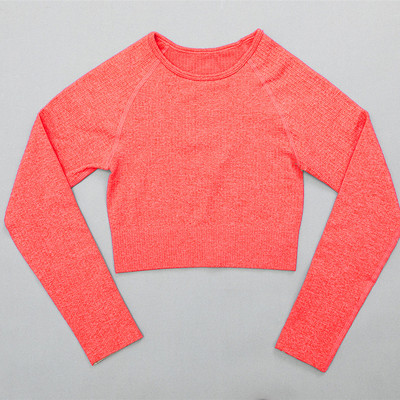 Naiste soonikuga õmblusteta joogakomplektid treeningkostüümid Crop rinnahoidja topid pikkade varrukatega särk Õmblusteta säärised spordikomplekt