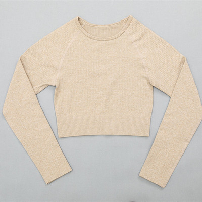 Naiste soonikuga õmblusteta joogakomplektid treeningkostüümid Crop rinnahoidja topid pikkade varrukatega särk Õmblusteta säärised spordikomplekt